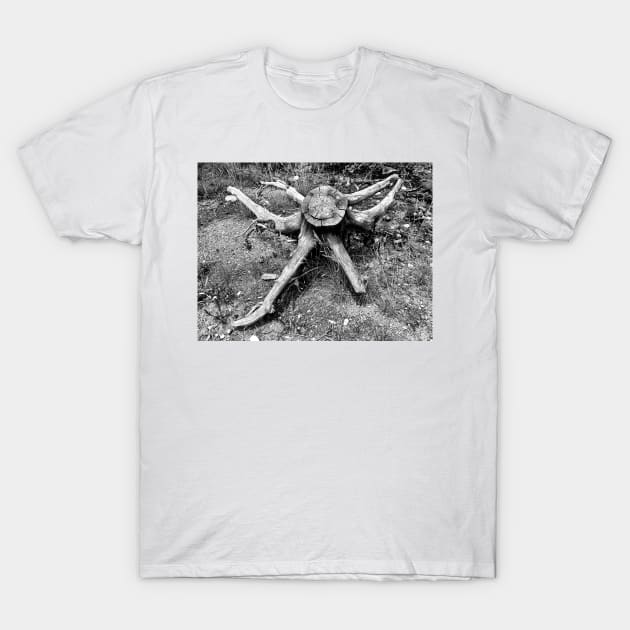 Six-armed Deadwood Bandit T-Shirt by bobmeyers